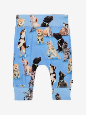 Baby Boys Animal Print Pants in Blue