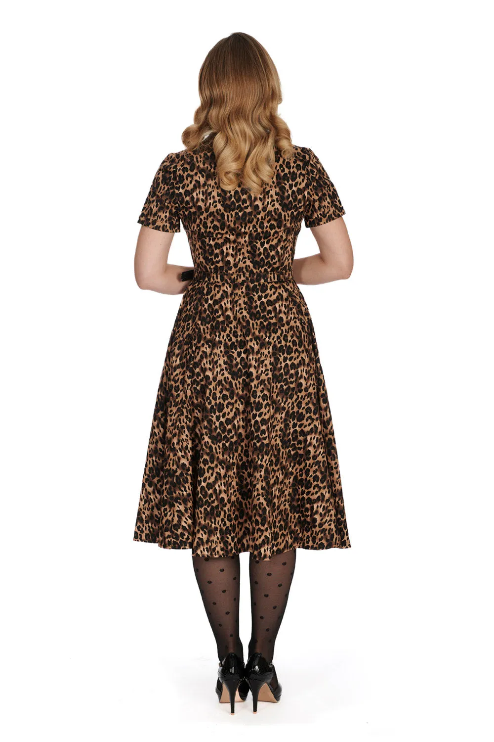 Banned Cheetah Girl Shirt Swing Dress with Matching Belt in Leopard Print