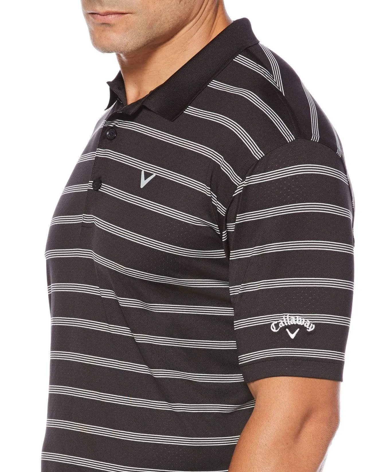 Big & Tall Opti-Dri Striped Polo